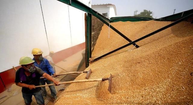 �҇��ļZ���a�٫@�S�� ���a��14281�f��