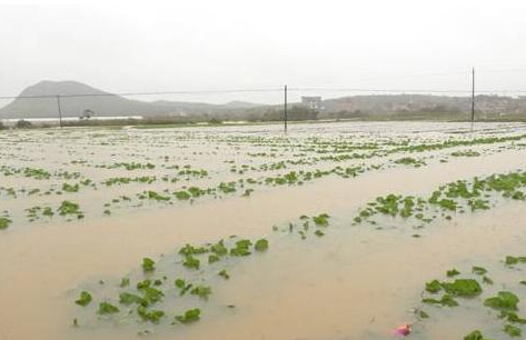 �r(n��ng)�I(y��)�r(n��ng)�岿�M(j��n)һ�����Ų����r(n��ng)�I(y��)��Ѵ����(z��i)�Ȟ�(z��i)�p��(z��i)����