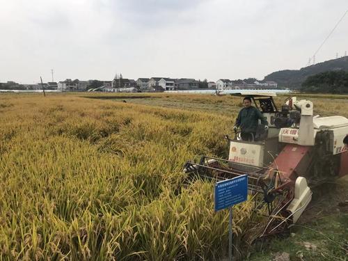 �����˴������_(k��i)���ʜp����Ч������ˮ����(c��)��ʩ�ʬF(xi��n)��(ch��ng)�^Ħ��(hu��)