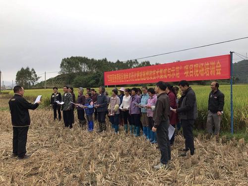 ���|�����M�����rˎ�p����Ч�����������B���h���ЙC���񏊿h�����Ԍ�ʩ