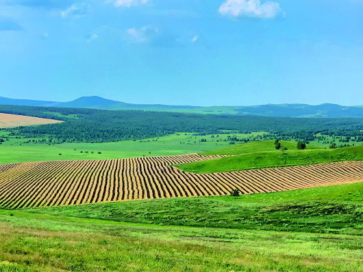 �P��2�f�஀���������Ͳˣ�������˸�ָ�ˣ�