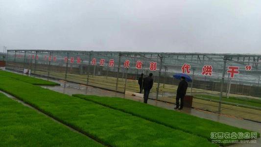 ������������ˮ�^(q��)�e�O�ƏV�䷽ʩ��������Ч