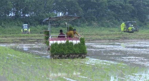 �����A��(qi��ng)�{(di��o)���ӿ��(z��i)�����a(ch��n)�֏�(f��) ȫ��Zȡ��Z�S��