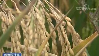 2020���҇��絾�a��2729�f��