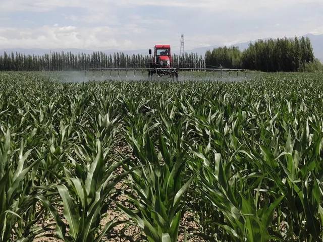 �ؑc�fʢ���_�^���_ȫ�^Ҏģ�Nֲ�������rˎ�p��ʹ�ü��g��Ӗ��