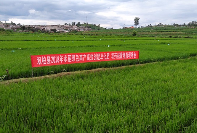 ����15���h���С��^(q��)���{�뻯�ʜp����Чԇ�c