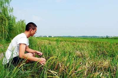 ��1800�f���r�����ܞ� ���Z�}���������R�p�a����