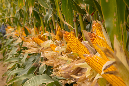 1663.25����҇����׮��a�ل��¸�