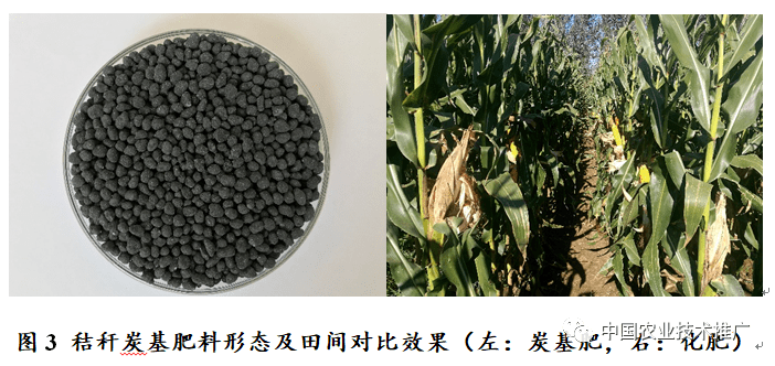 ��(n��i)�ɹ����΅^(q��)�ɆT���ӽն�̿����������Ч���g(sh��)�F(xi��n)��(ch��ng)��(hu��)