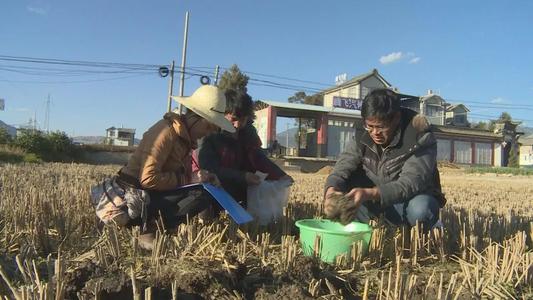 �ؑc������ƏV�y���䷽ʩ�� ���a��Ч���h��