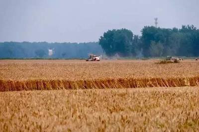 2021��С�������ُ�r1.13Ԫ/��ϝq1�֣�