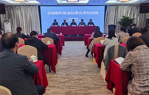 ��(qu��n)�����x������(bi��o)��(zh��n)�����f�ИI(y��)�l(f��)չ��(d��ng)��