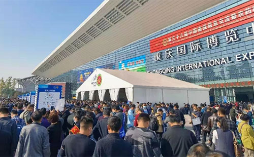 ��ֲ���p�����|�L����I�e�O̽�����°lչ֮·��