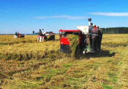 �҇��r�I�r���ش��¼��g�®aƷ���b������29�