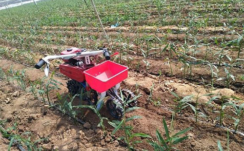 ���ҽ��x���������ƶ��~ʩ�ʣ������ИIԓզ���飿