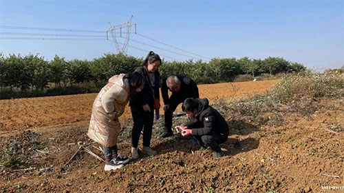 �Nֲ�����˺ϸ񻯷ʺ�pʧ��ʮ�f���r�Y�꣺�ԛQ���r