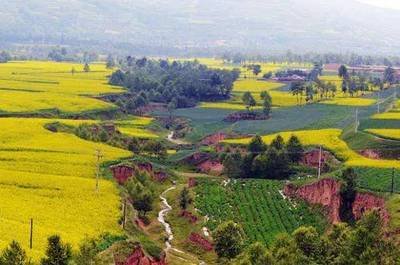 ���������г��m���M�����rˎ�p����Ч�Є��@��Ч