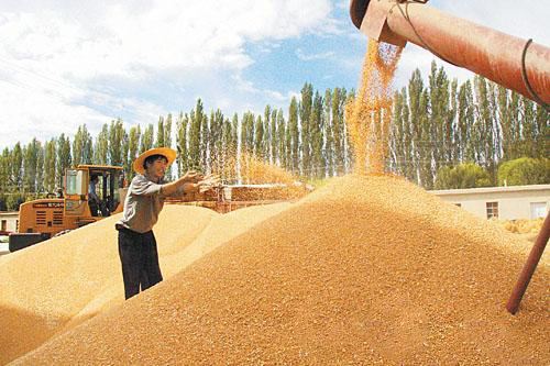 ����ץ����ǰ�\���ļZ��ُ�ʂ�