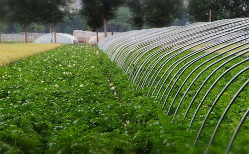 �aֵ���_3600�|���ЙC�ʮa�I(y��)�����󱬰l(f��)��δ���،��ʬF(xi��n)�@3��څ��