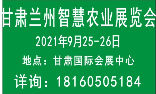  2021���C���m�ݣ��ǻ��r�Iչ�[��