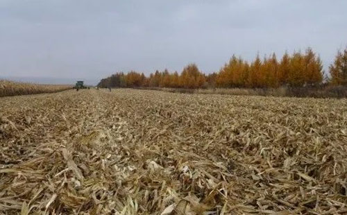 ���׽ն�����ֱ�Ӯ������ϡ����@�����²�С��Ҫ���꣡