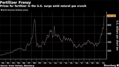 ȫ��ɴ�피������̰l(f��)�����棺���ʃr���j�q�B(t��i)��߀�����m(x��)��
