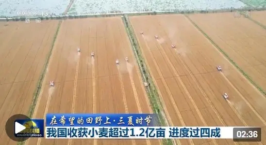 �҇��ի@С����1�|�� �ՙC����e��2000�f��