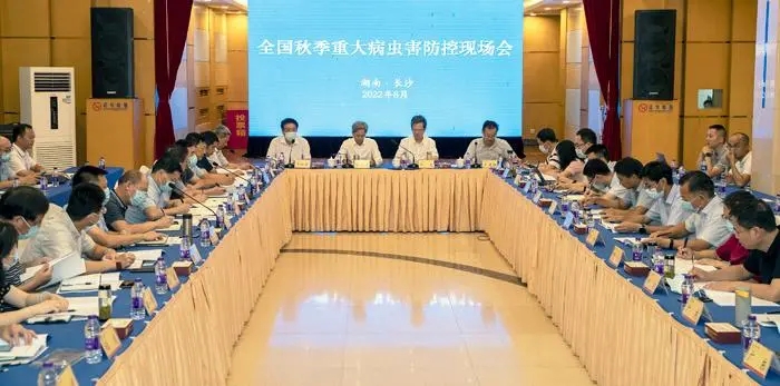 �r�I�r�岿�����＾�ش��x�����ع���