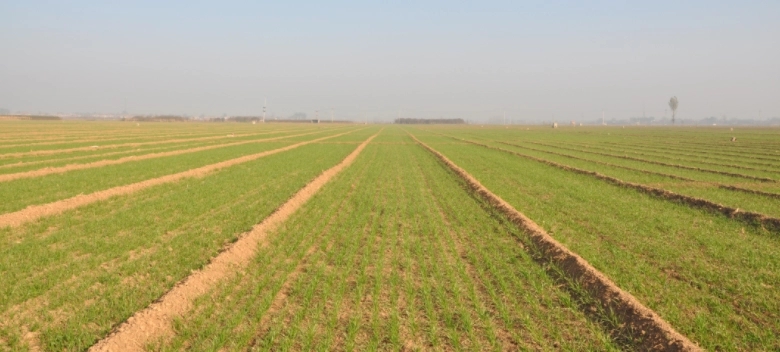 ����С��ʲô�r�g���N��