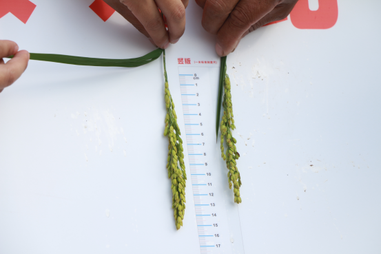 ���r���r��  �l��������(1)711.png