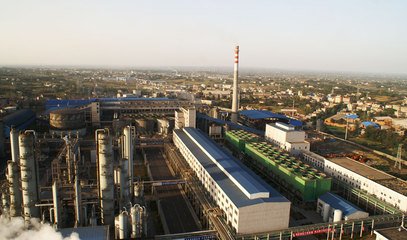 ���������ɞ鹤�Ų�ʾ����I