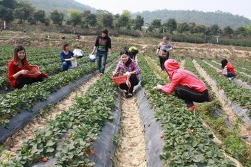 �вĶ�ԭ�����}��V�ʡ�������ݮ���m(x��)���a(ch��n)