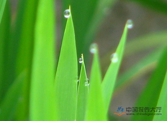 �����L֮�ǡ����ھ��r(n��ng)�Y�ИI(y��)������