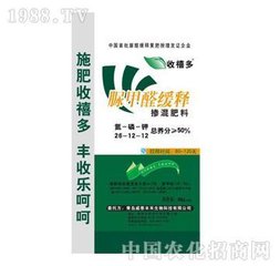 �𬔣������������ȩ����