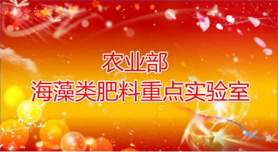 �r(n��ng)�I(y��)������������c�����������º��弯�F