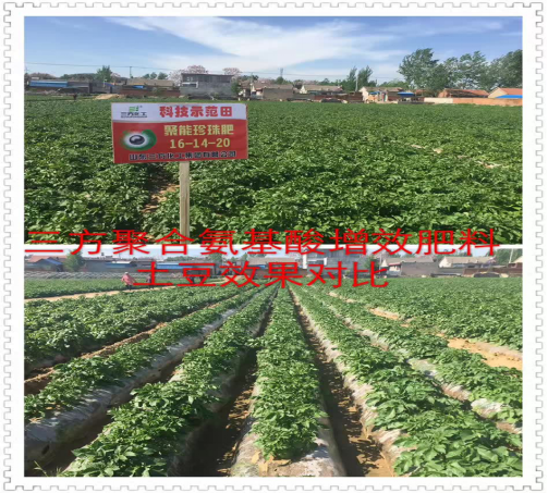 ���݃��|�R����^Ħ��  �����۰�������@����425.png