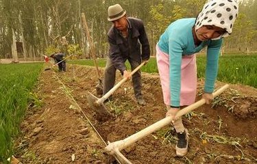 ��ɽ�S�ŷʘI(y��)���㡰�硱�ւ䴺��