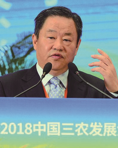 ����(d��o)�r(n��ng)��N�� �����l(xi��ng)�����d