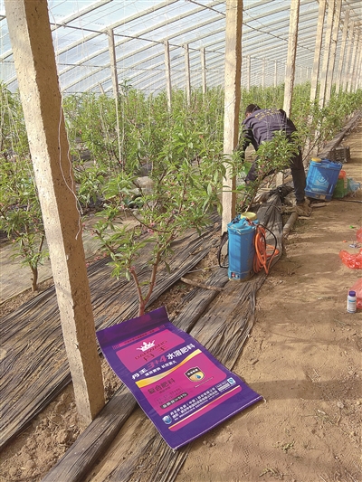 ��������ɫ����������ͤ���Ҵ��S��