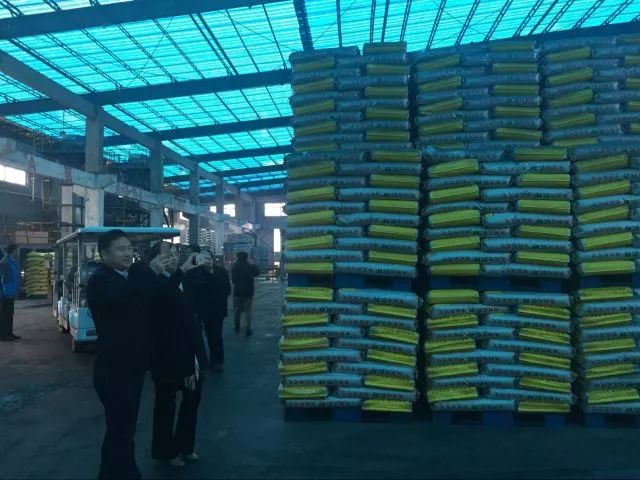 푑��������f���D�Q �r��ʘIȫ�挍�F�D������