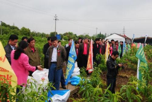 �r�����еĽ����