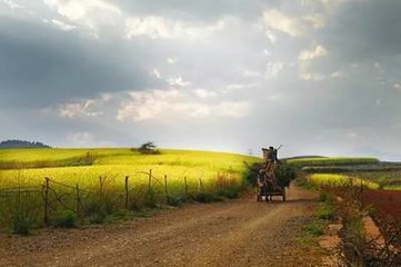 ���컯��ȭ������پS��