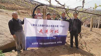 ���ɸ� ���������S��20�d