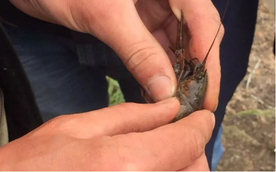 �л��r������Ʒ�|�fԒ �ƌW���Ͼ��������11618.png