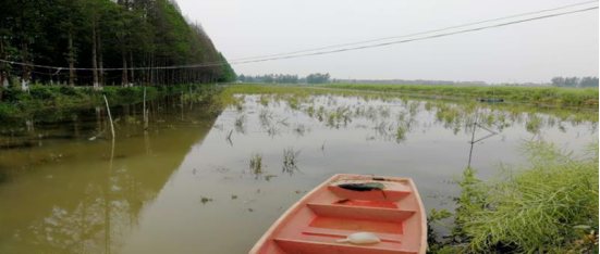 �л��r���� Ʒ���A���� �ڱ����ķ�(1)1287.png