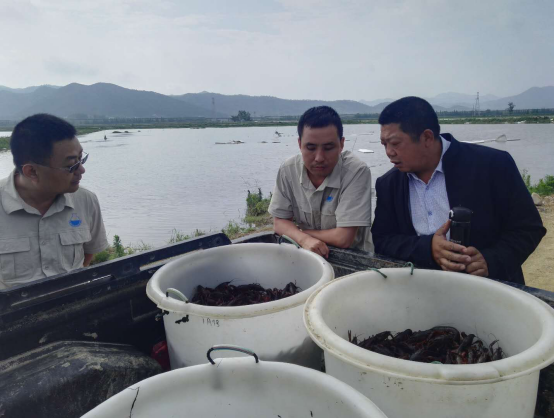 Ʒ�|���r������Ʒ�|�N�B