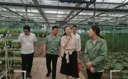 ���B�Ļ��ʹ�˾ӭ�����������߼������WУһ���˅��^����