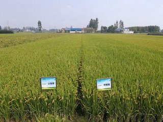 �������c��������W(xu��)���ơ�������֮����