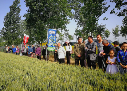 ���B�ĺ�������ֲ�����С���߮a