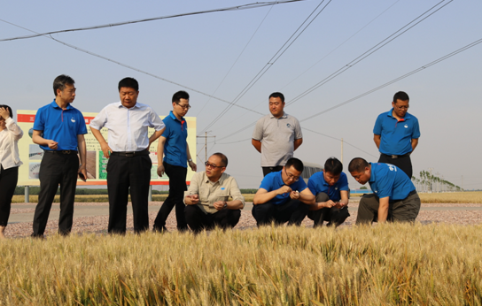 �л�MAP��غӱ����l������ķN���N���|�r�aƷ����